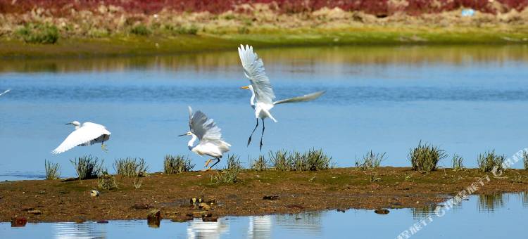 海畔拾光民宿(蔚蓝海岸店)图片