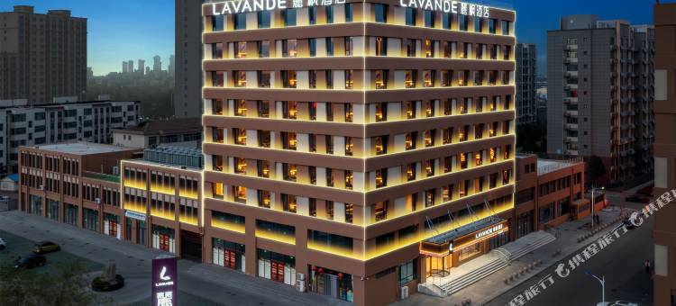 麗枫酒店(平原共青团北路店)图片