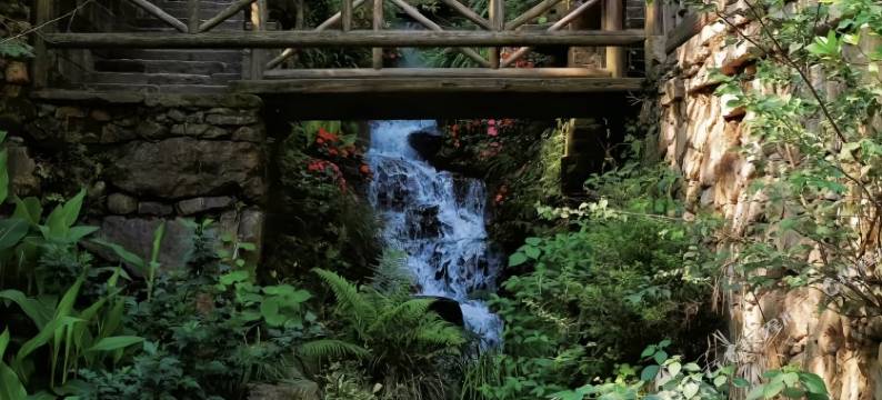 岭居·青石小巷民宿(篁岭风景区店)图片