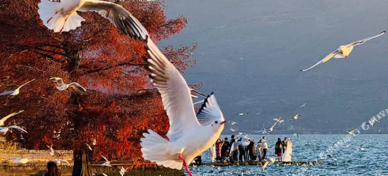 大理慢海卓悦·MAN HAI设计师酒店(大理高铁站洱海公园店)图片