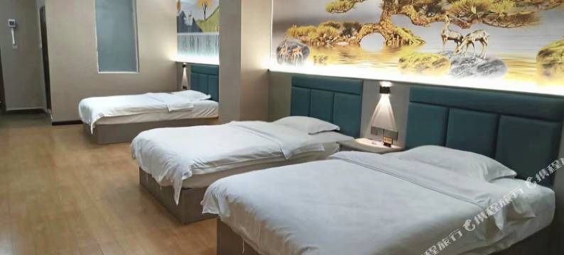 大新银兴宾馆(德天广场店)图片