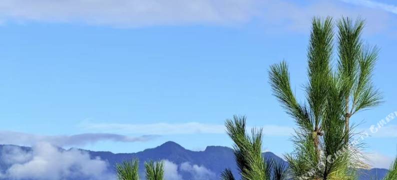 九皇山云颐自在酒店图片