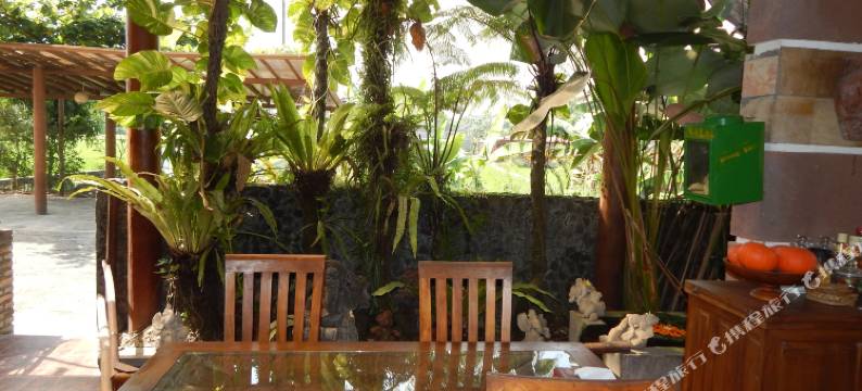 日惹阿拉曼达家庭泳池别墅(Alamanda Family Villas, Pool & Local Tours)图片