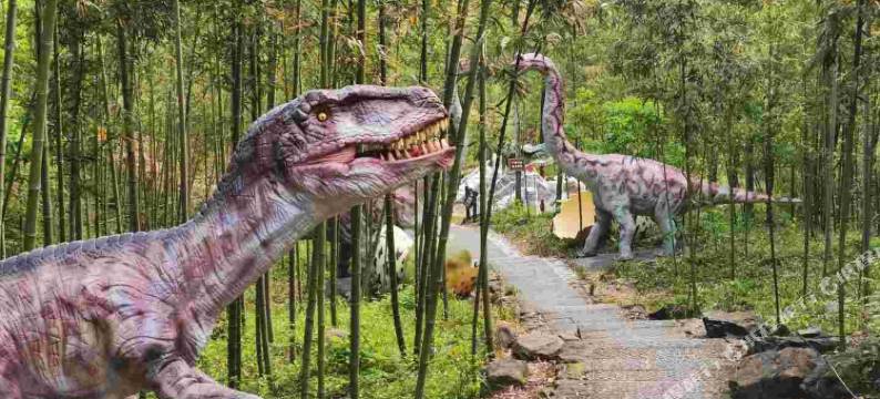 桐庐天子地森林康养度假酒店图片