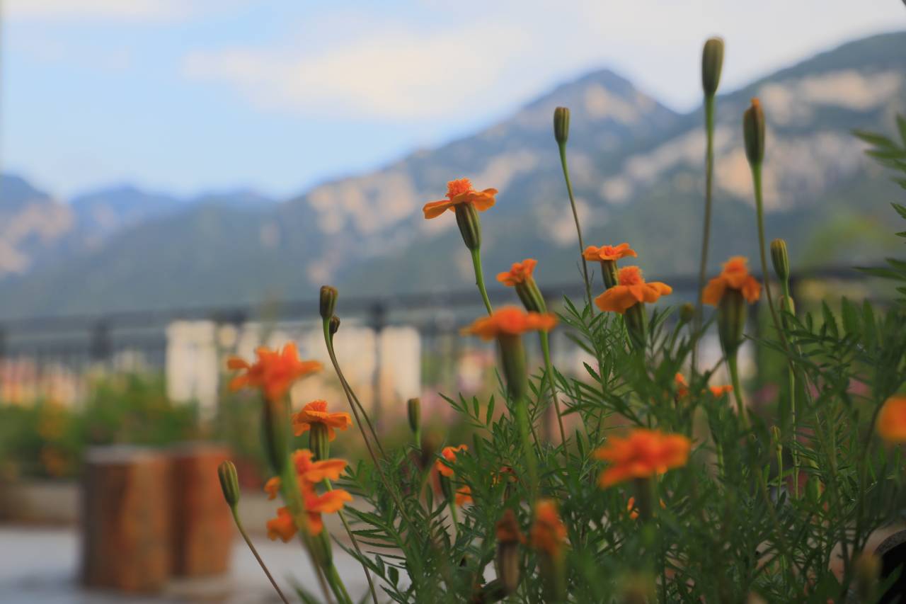 花筑·初见民宿(玉泉院店)图片