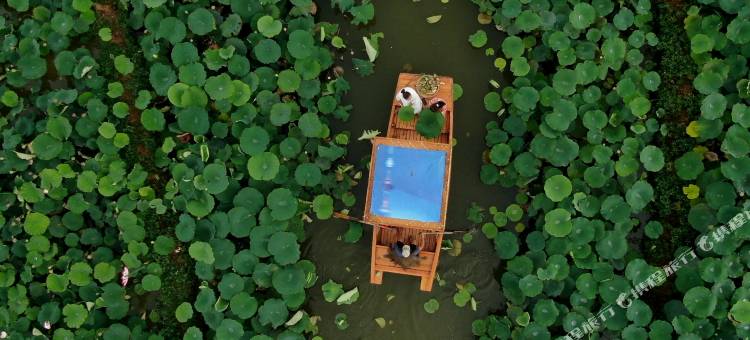 抚仙湖泊莲臣客栈图片