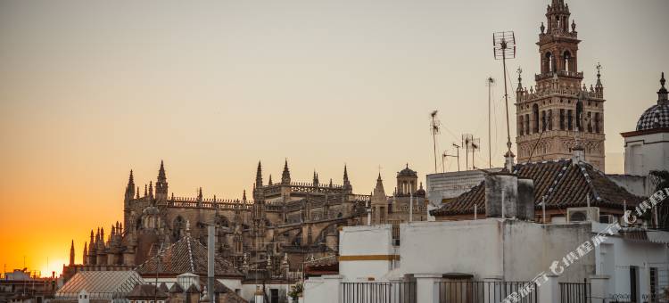 精品生活公寓(APARTAMENTOS BOUTIQUE VIDA)图片