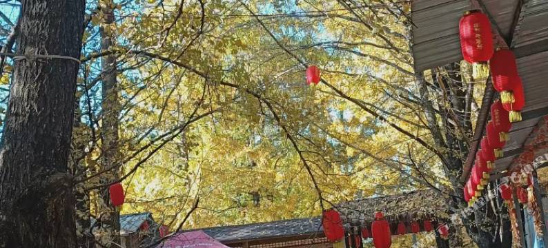 淑橦农家乐图片