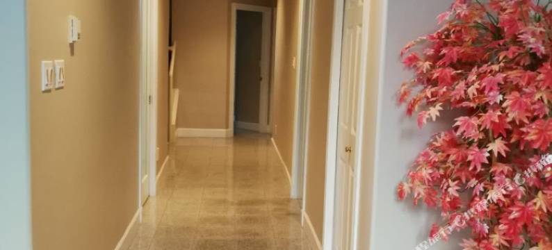 温哥华机场旅馆(Vancouver Airport Inn)图片
