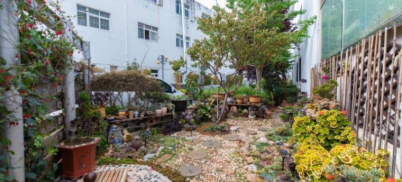 朴隐花园民宿(丽江古城客运站店)图片