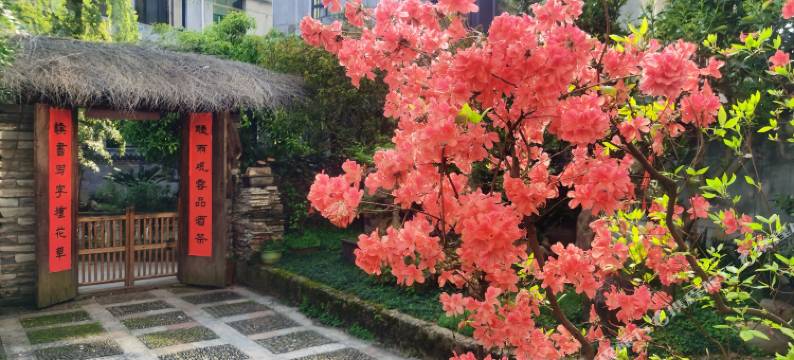 仙都农家居图片