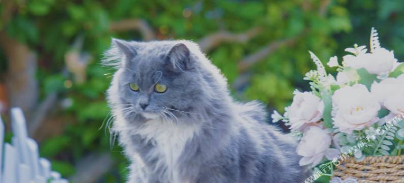 舟洲美舍(涠洲岛店)图片