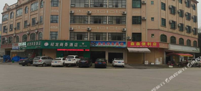 龙州桂龙商务酒店图片