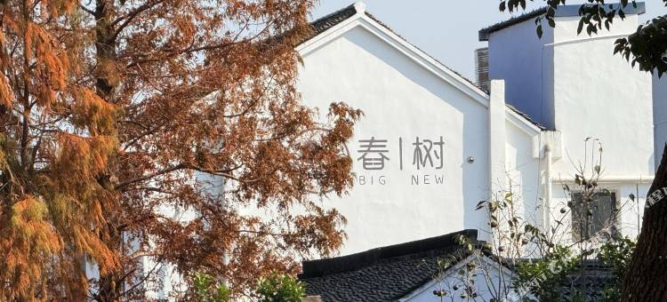 春树民宿(上海乐高乐园度假区店)图片