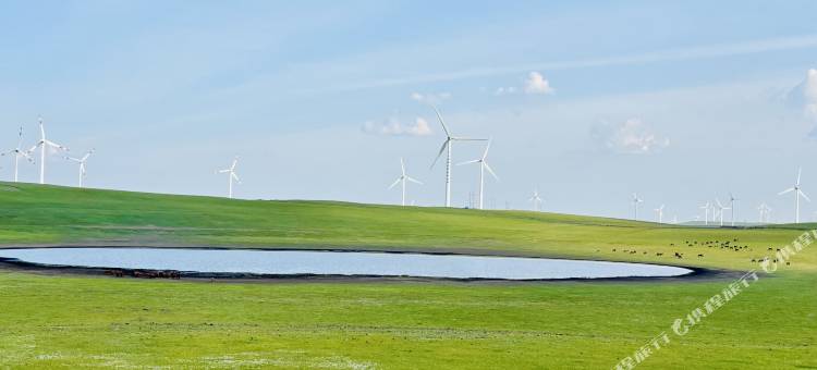 云端逸舍民宿(辉腾锡勒草原店)图片