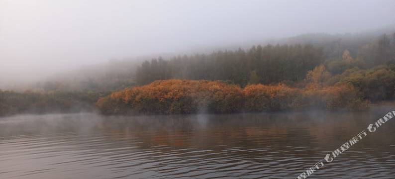 嘉荫渔家乐旅饭店图片