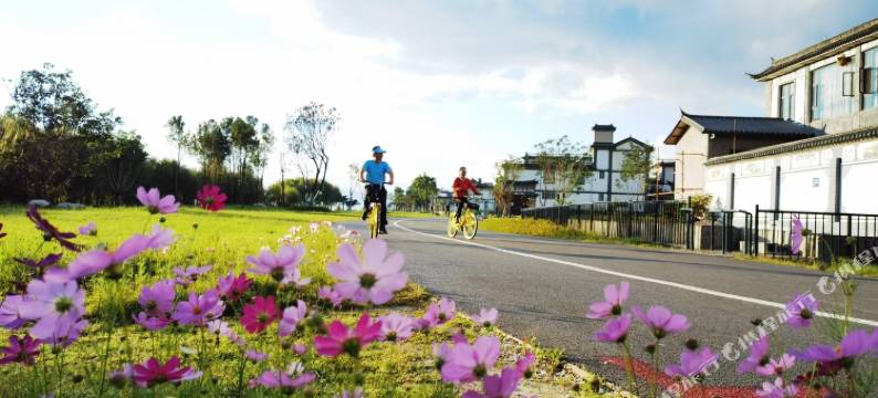 大理朋临居海景度假酒店(洱海生态廊道三圣岛店)图片