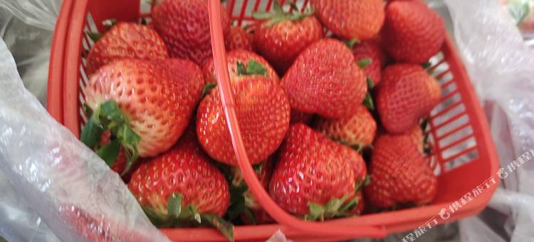 都市118·精选酒店(高新一中实验中学电子科技大学南校区店)图片