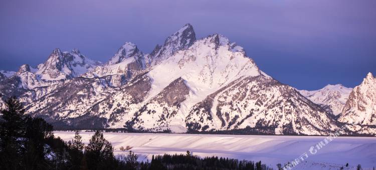 现代山居 杰克逊霍尔(Mountain Modern Jackson Hole)图片