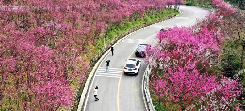 重庆谷里客栈(黑山谷南门店)图片