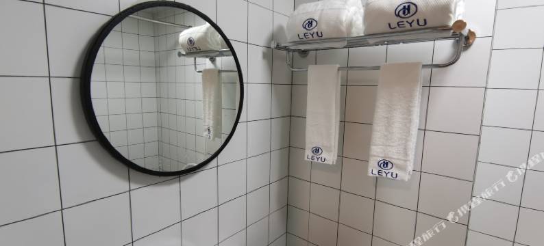 佛山乐域轻奢公寓(沙田中心浔峰岗北地铁站店)图片