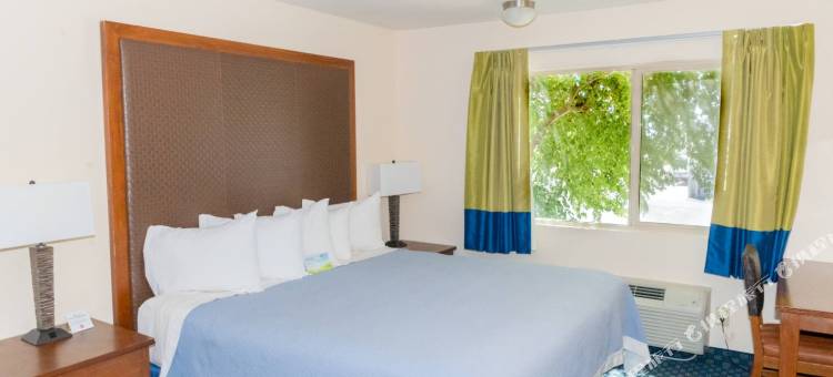 哈瓦苏湖城温德姆戴斯酒店(Days Inn by Wyndham Lake Havasu)图片
