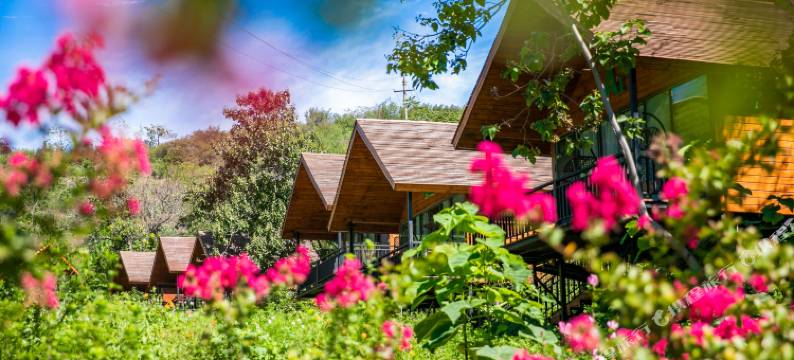 灵泉妙境民宿(古灵山店)图片