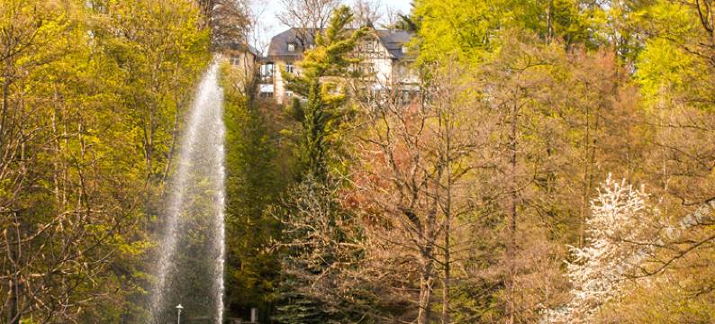 沃尔兹罗森公园酒店(Parkhotel Waldschlösschen)图片