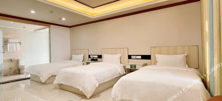 茂名电白区新世纪城市酒店图片