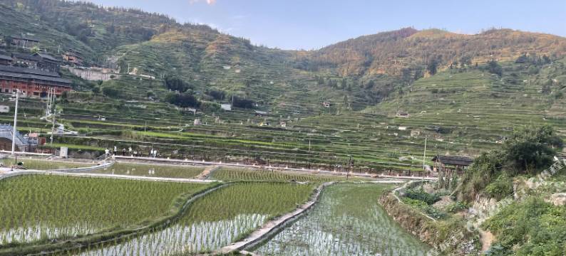 西江黔香阁客栈图片