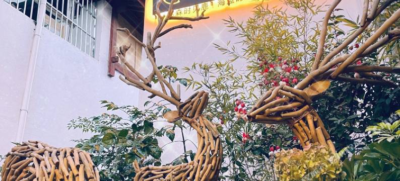 林森有鹿·日照金山雪山观景民宿(丽江古城木府店)图片