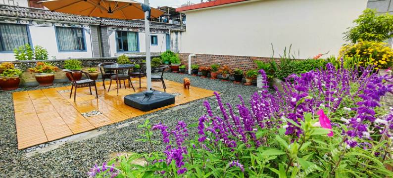 大理古城柿子树小院图片