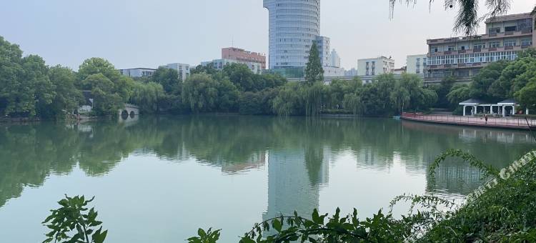 芜湖文豪酒店(中山路步行街古城店)图片