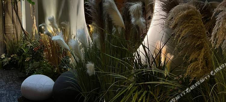 B酒店(B Hotel)图片