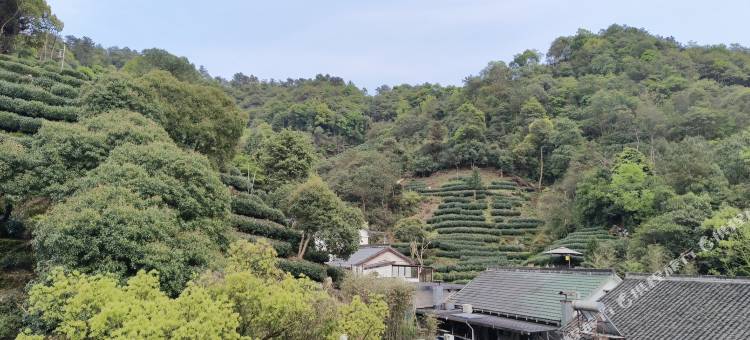 西湖枕流居民宿图片