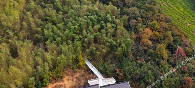 广德雨燕谷野奢度假酒店图片
