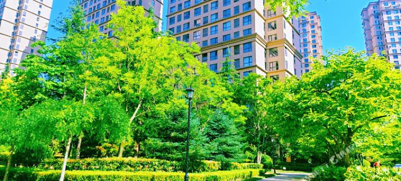 星辰海民宿(银滩海洋公园银龙湾夜市店)图片