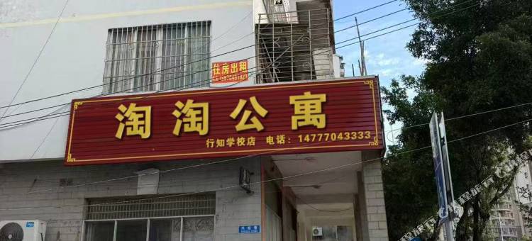 淘淘民宿(行知学校店)图片