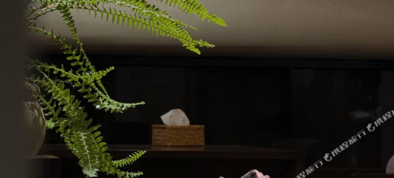 关于美宿(潮州古城牌坊街店)图片