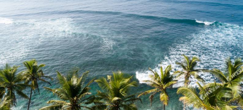 米迪加马萨玛达拉房产酒店(Samadara Estate, Midigama)图片