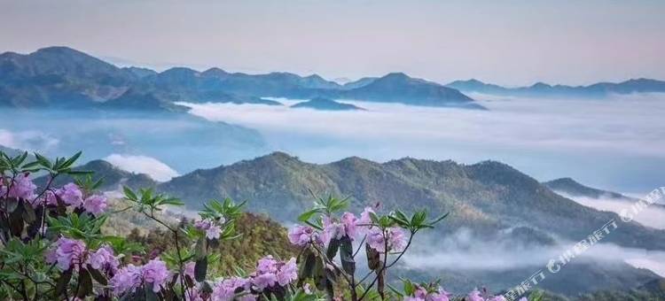 天台如归民宿(天台山风景区店)图片
