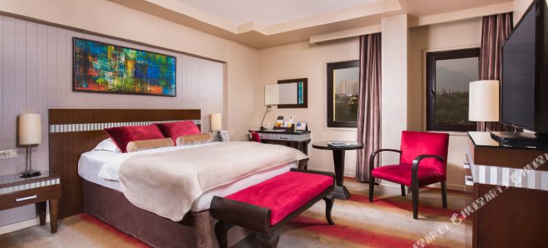 阿尔米拉酒店 - 温泉水疗与会议中心(Almira Hotel Thermal Spa & Convention Center)图片