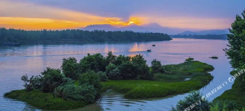 杭州富阳沚上花舍图片
