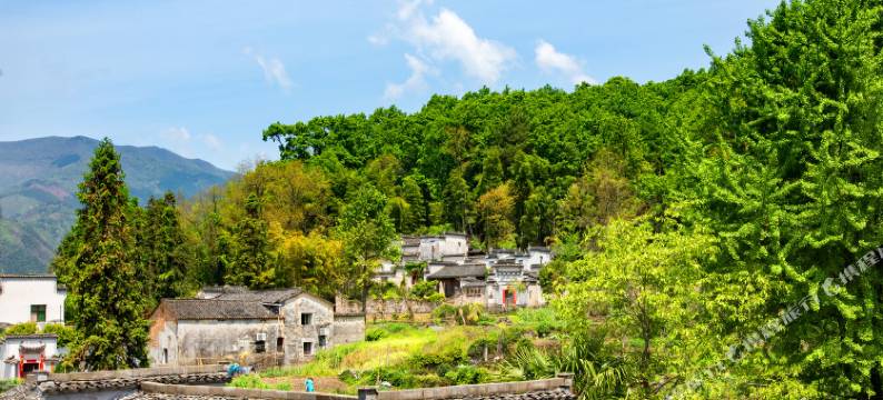 宏村临月楼徽派庭院民宿图片