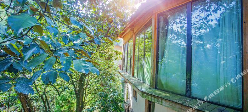 松阳云夕天域精品民宿(横坑村店)图片