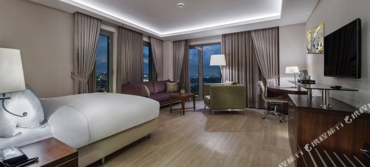 伊斯坦布尔托普卡匹希尔顿逸林酒店(Doubletree by Hilton Istanbul Topkapi)图片