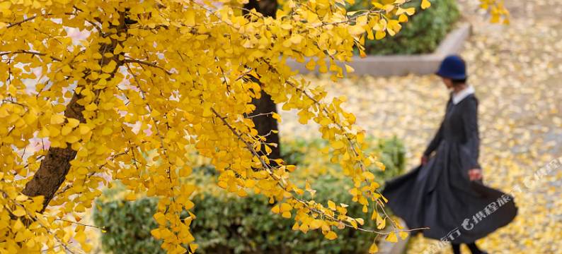 陌禾舒馨全景温泉酒店(和顺古镇贾家坝店)图片