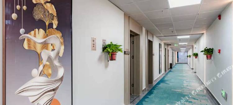 维诗顿精品酒店(漯河会展中心店)图片