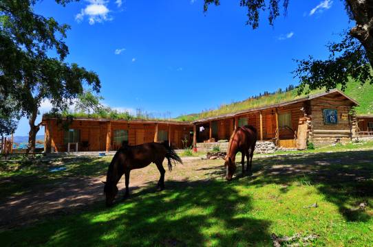 特克斯雲海林居