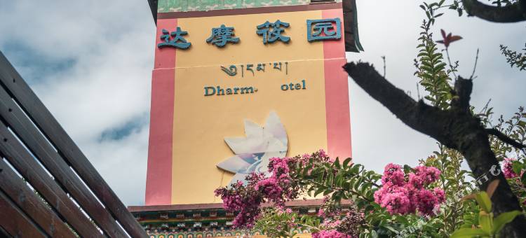 维西达摩筱园图片